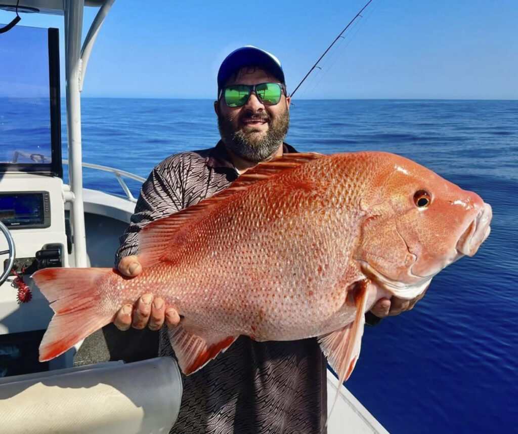 John Palermo- Big Red